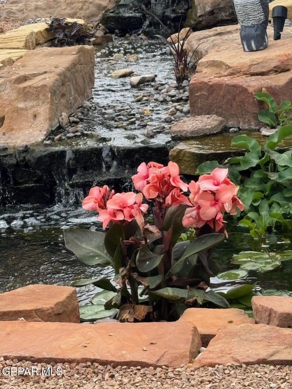 6320 Franklin Desert El Paso, TX 79912 - Photo 61 of 94 6320 Franklin Desert Flowers JG