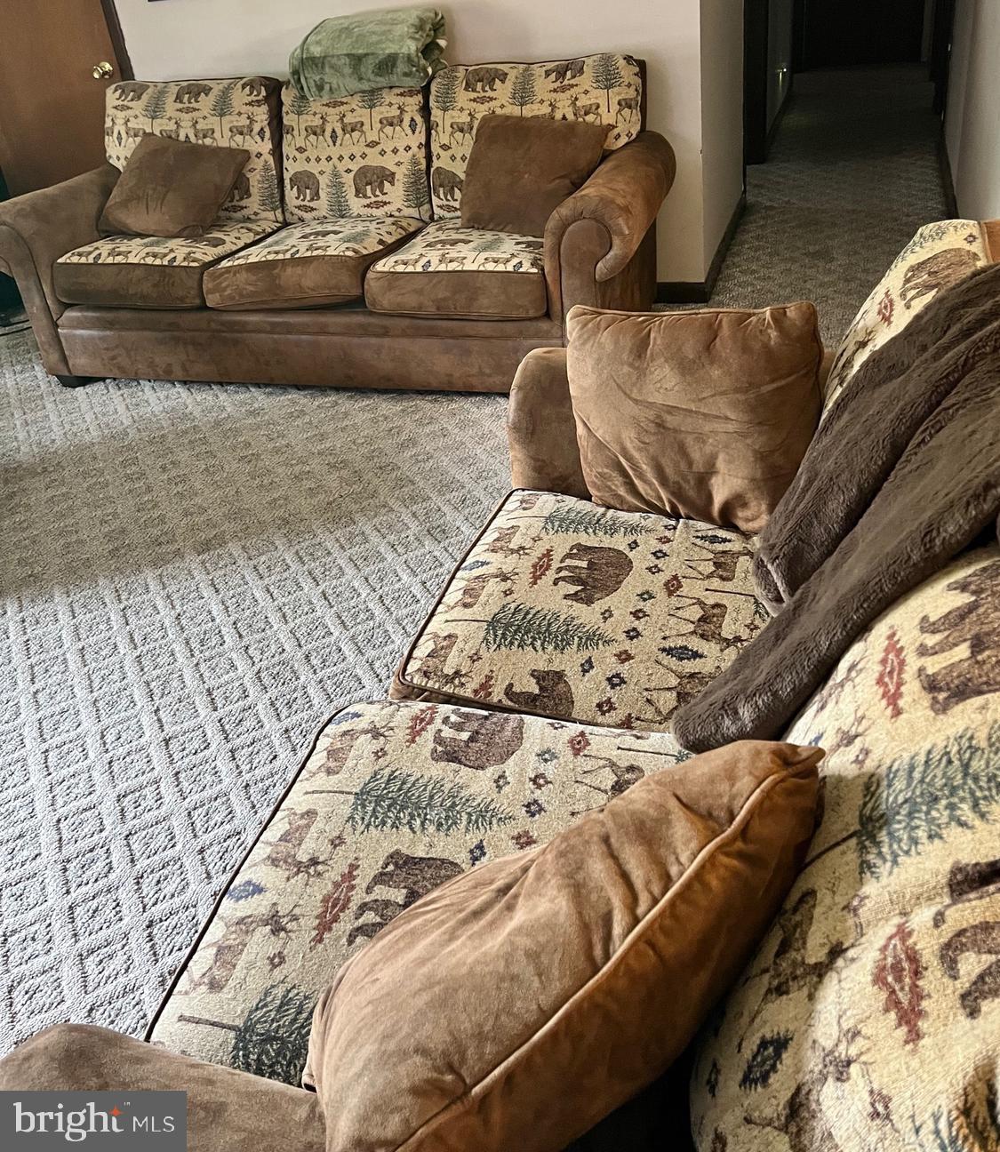 2166 Country Road Maysville, WV 26833 - Photo 11 of 54 a living room with a couch