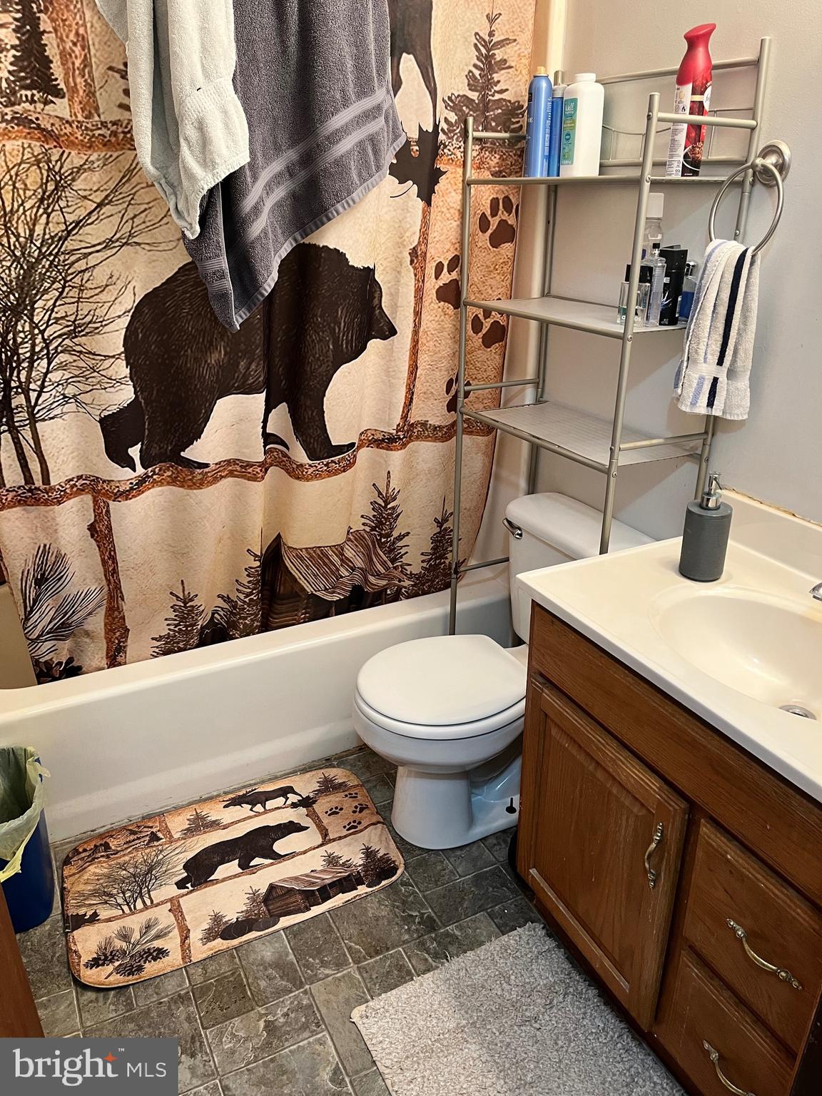 2166 Country Road Maysville, WV 26833 - Photo 21 of 54 a bathroom with a toilet and a sink
