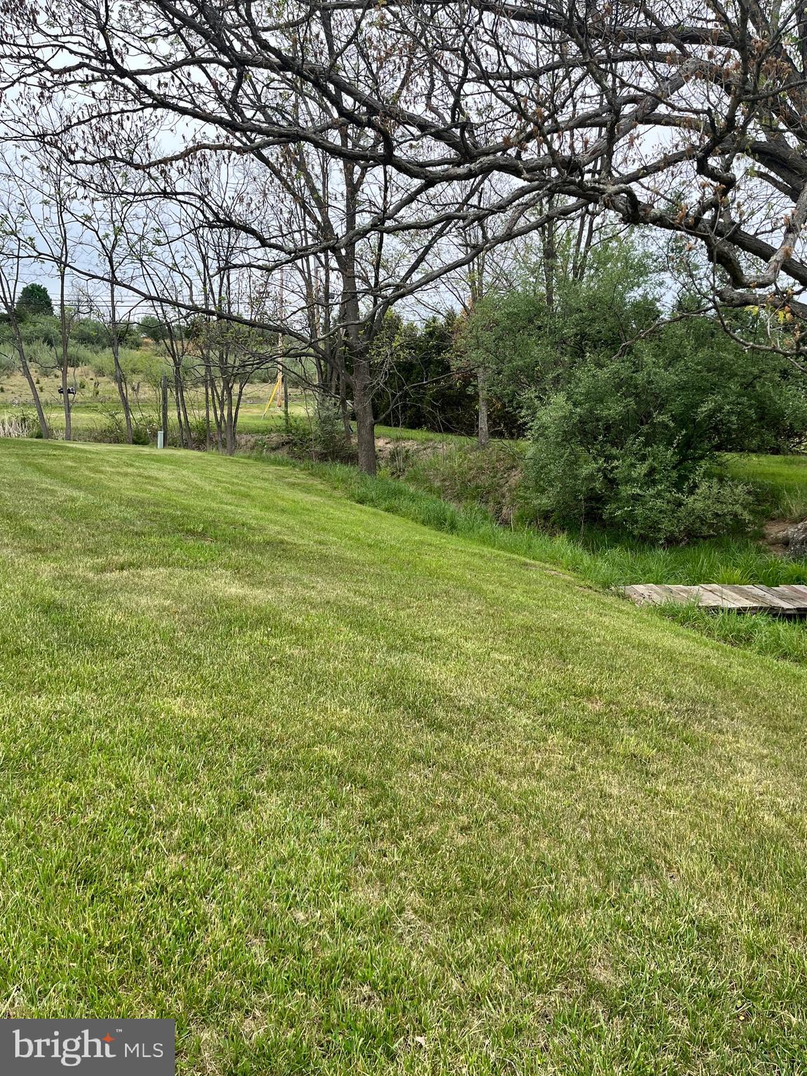 2166 Country Road Maysville, WV 26833 - Photo 29 of 54 a view of a park with large trees