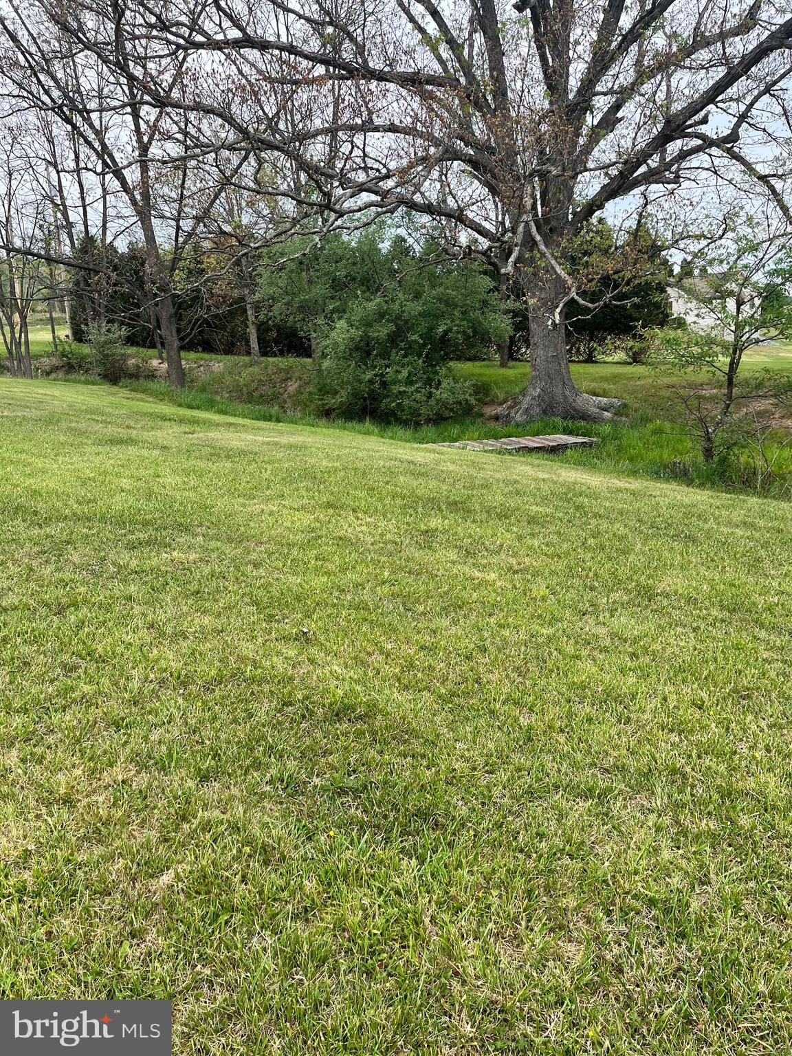 2166 Country Road Maysville, WV 26833 - Photo 30 of 54 a view of a field with a tree