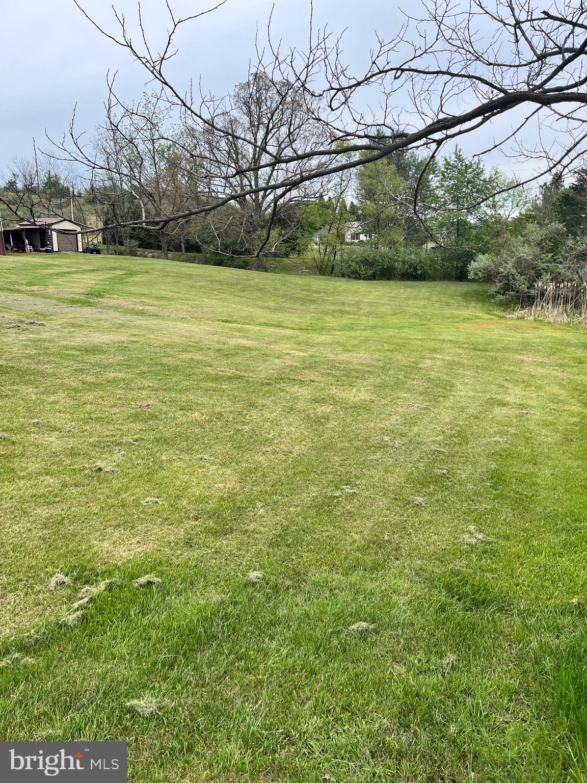 2166 Country Road Maysville, WV 26833 - Photo 34 of 54 a view of a big yard