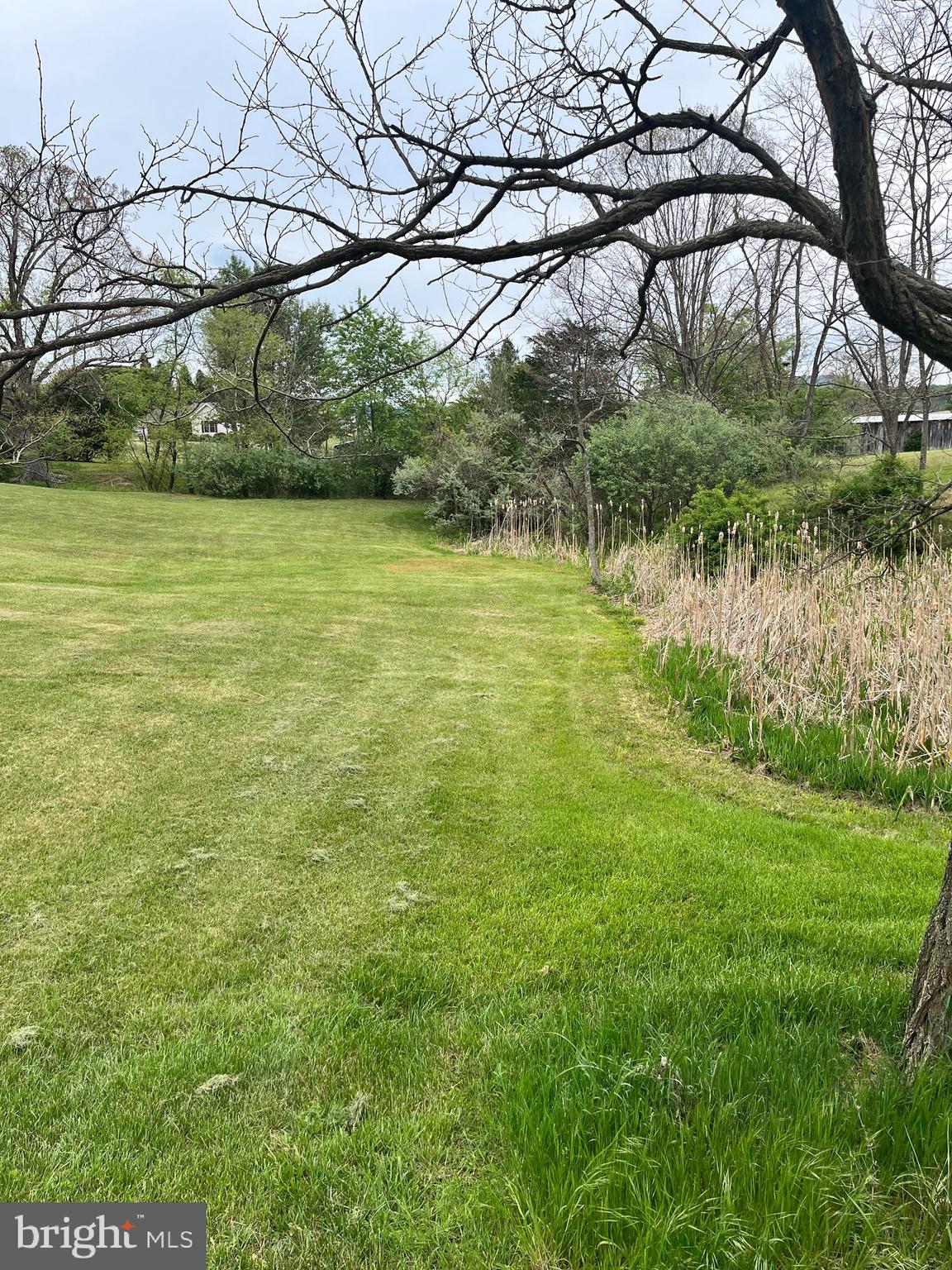 2166 Country Road Maysville, WV 26833 - Photo 35 of 54 a view of a yard with a tree