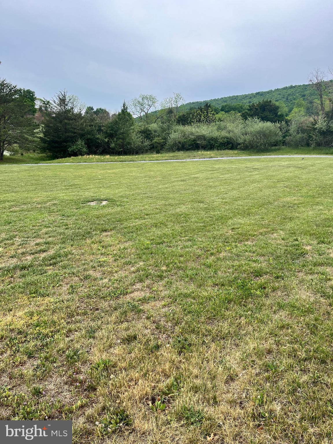 2166 Country Road Maysville, WV 26833 - Photo 39 of 54 a view of an ocean from a yard