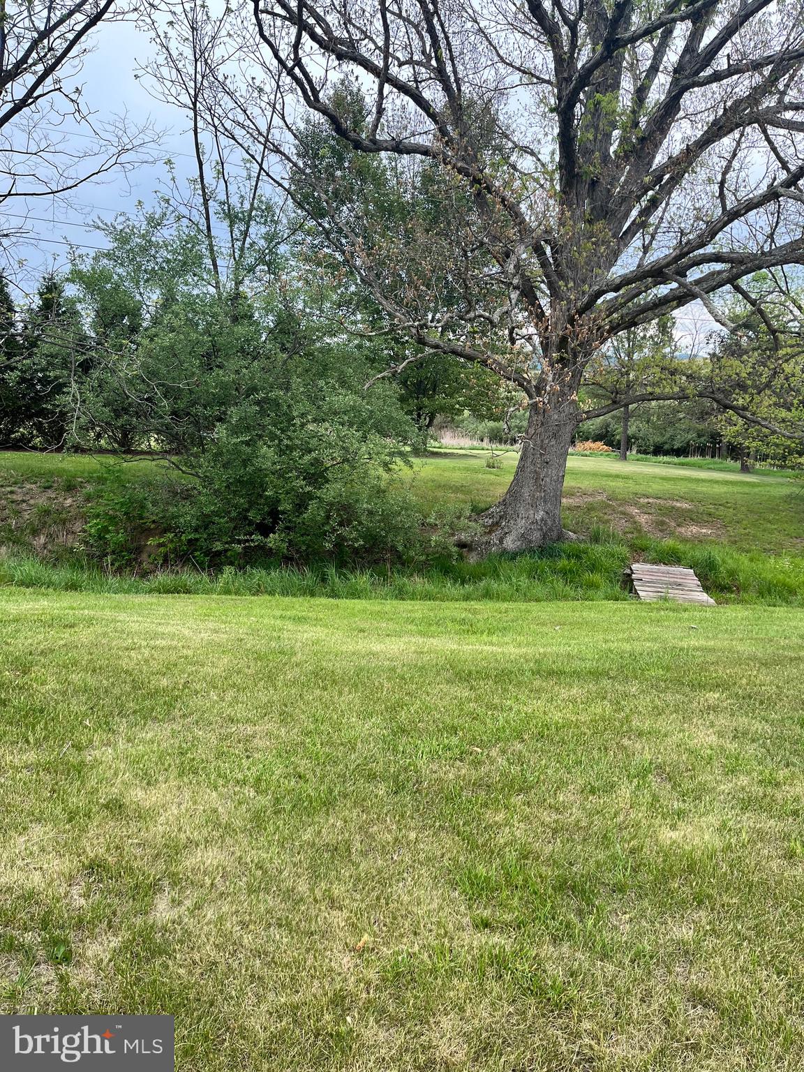 2166 Country Road Maysville, WV 26833 - Photo 50 of 54 a view of a field with a tree