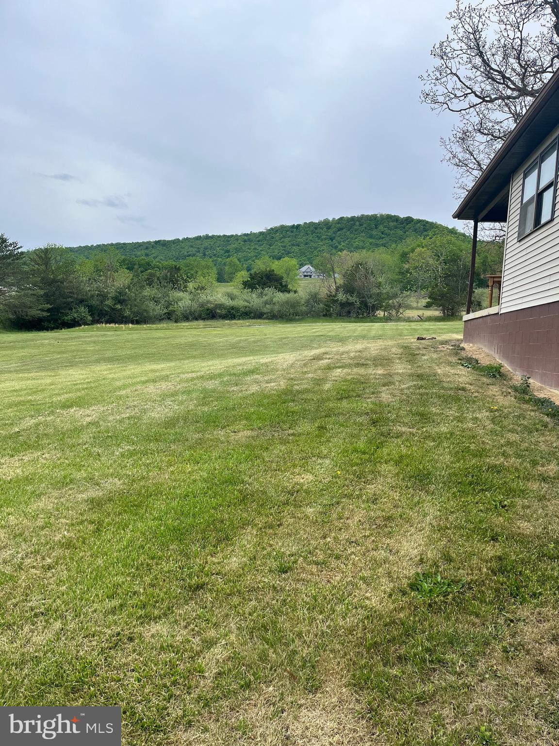 2166 Country Road Maysville, WV 26833 - Photo 53 of 54 a view of a field with an trees