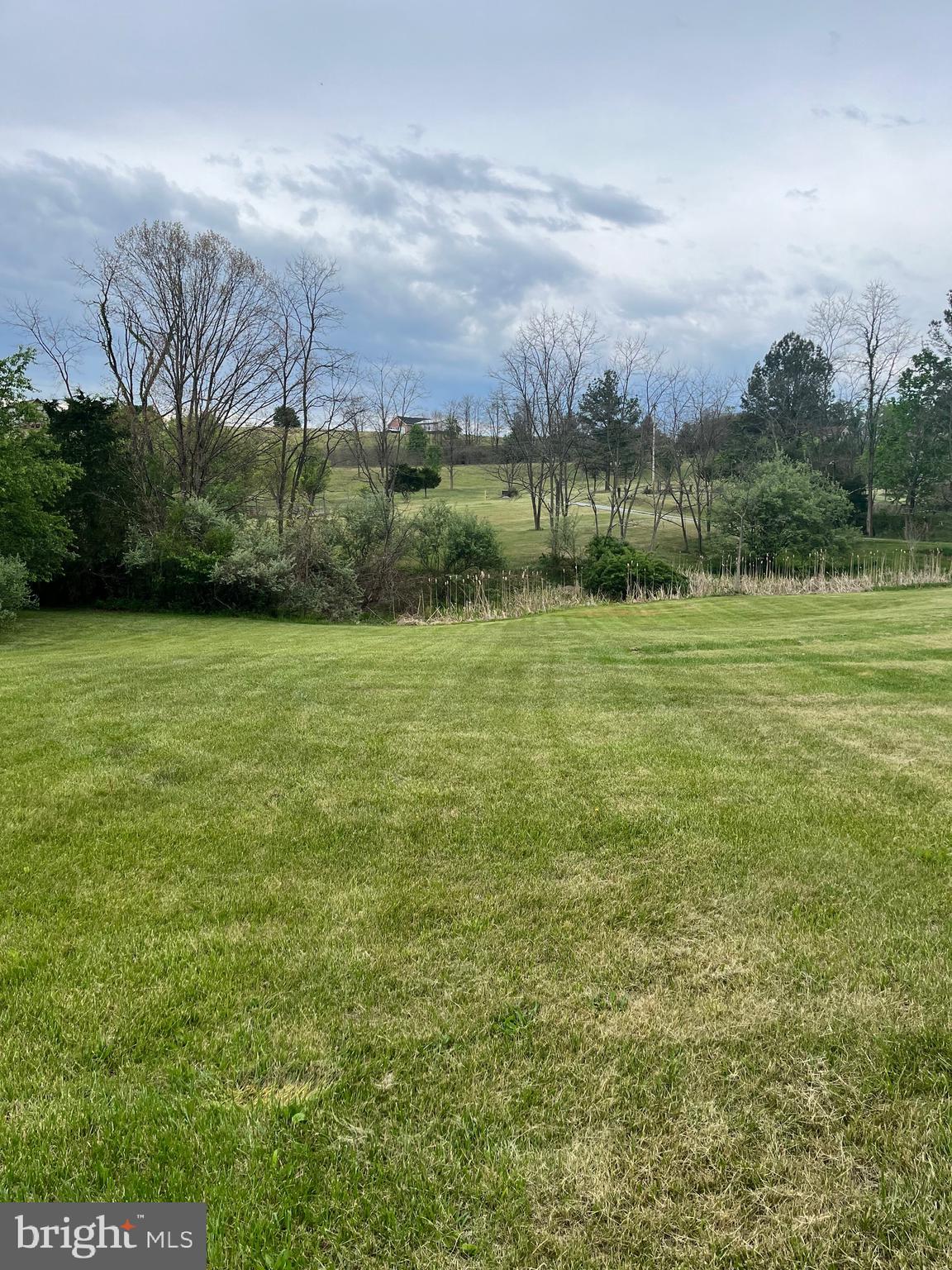 2166 Country Road Maysville, WV 26833 - Photo 54 of 54 a view of a green yard