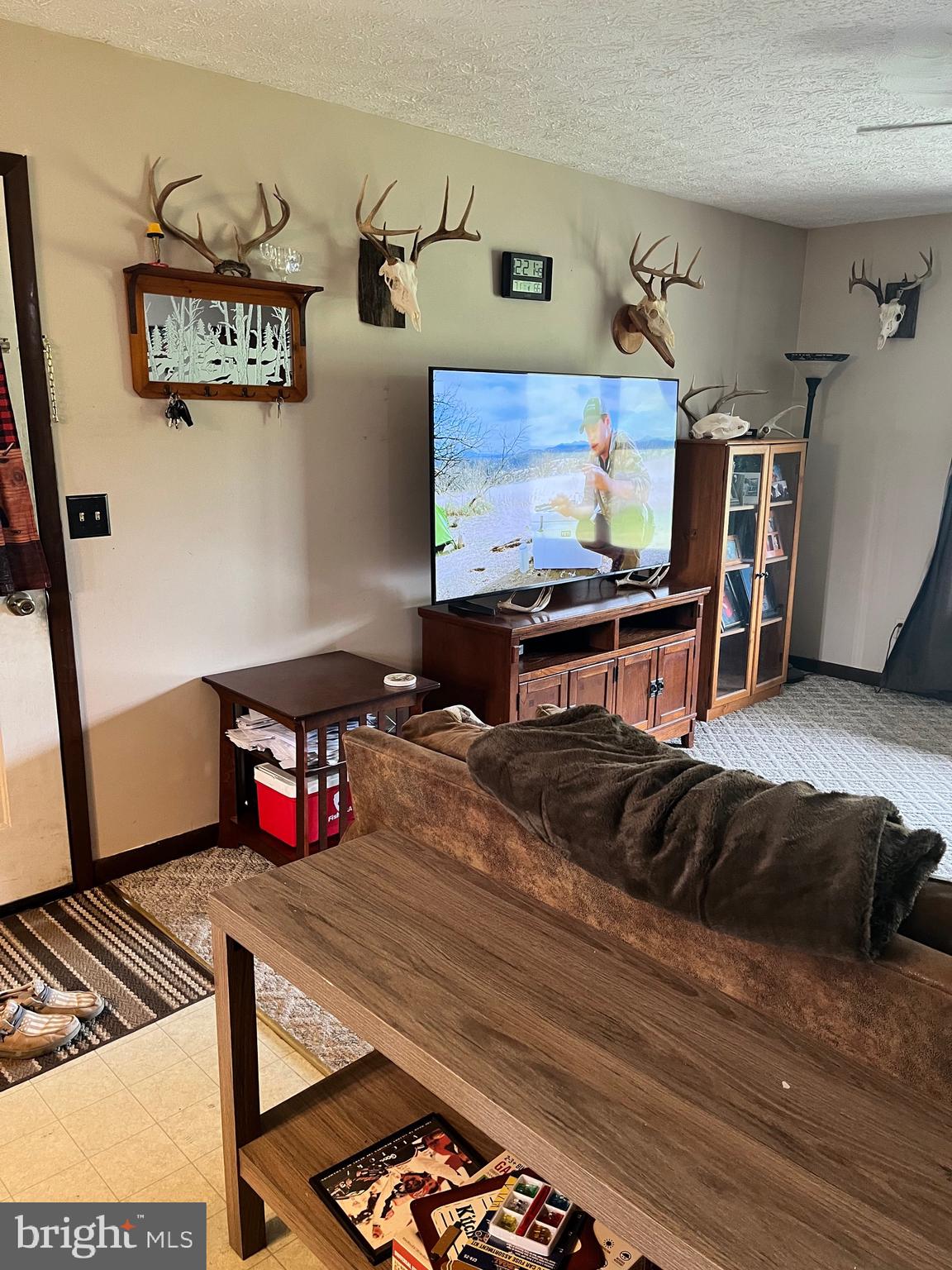2166 Country Road Maysville, WV 26833 - Photo 6 of 54 a living room with furniture and a flat screen tv
