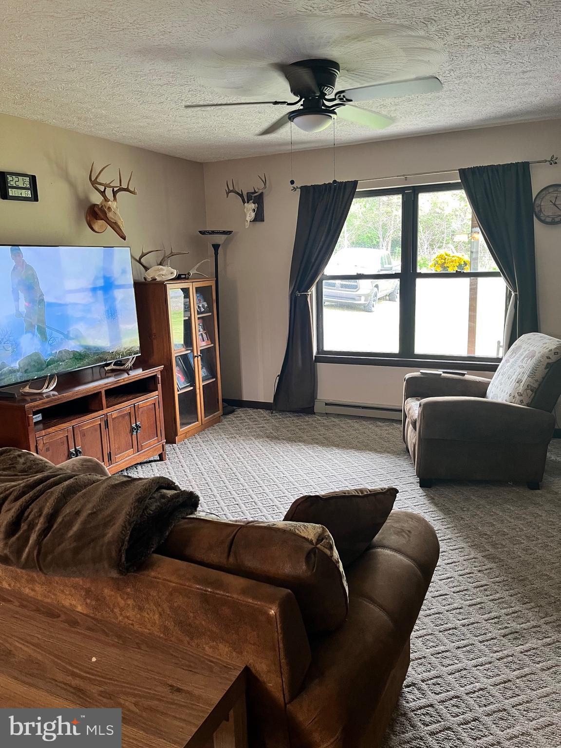 2166 Country Road Maysville, WV 26833 - Photo 10 of 54 a living room with furniture and a flat screen tv
