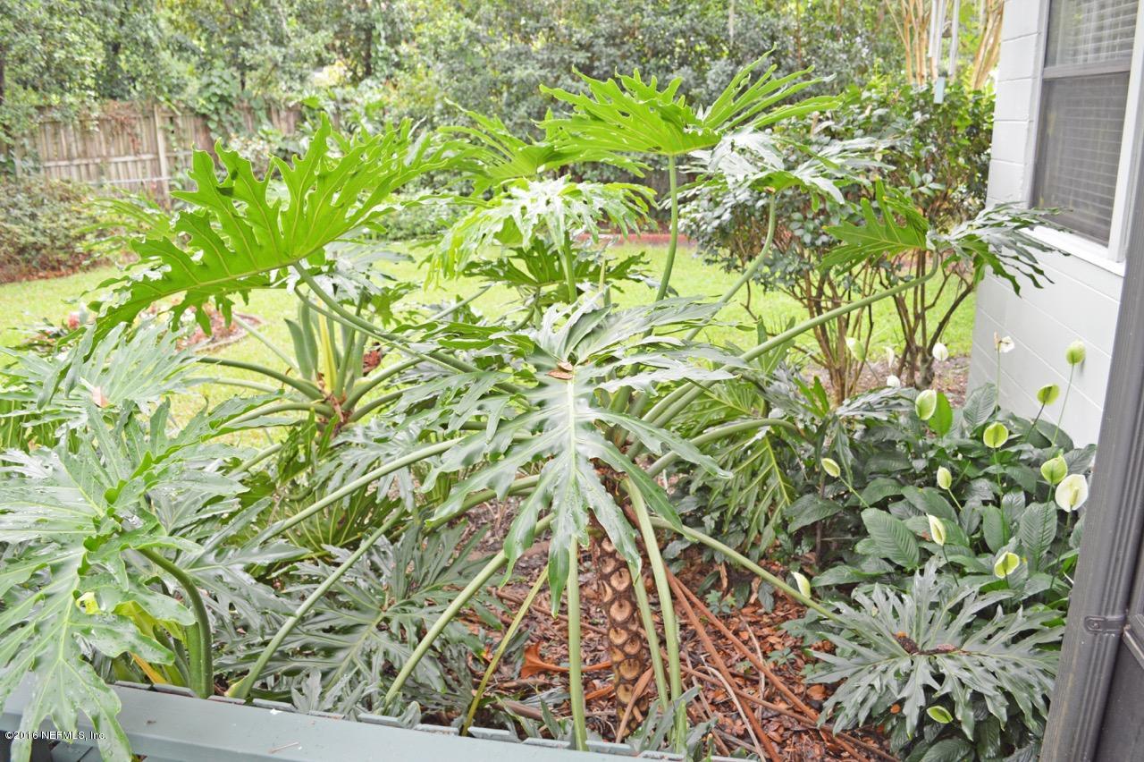 6237 Ogden Road Jacksonville, FL 32216 - Photo 28 of 29 Backyard