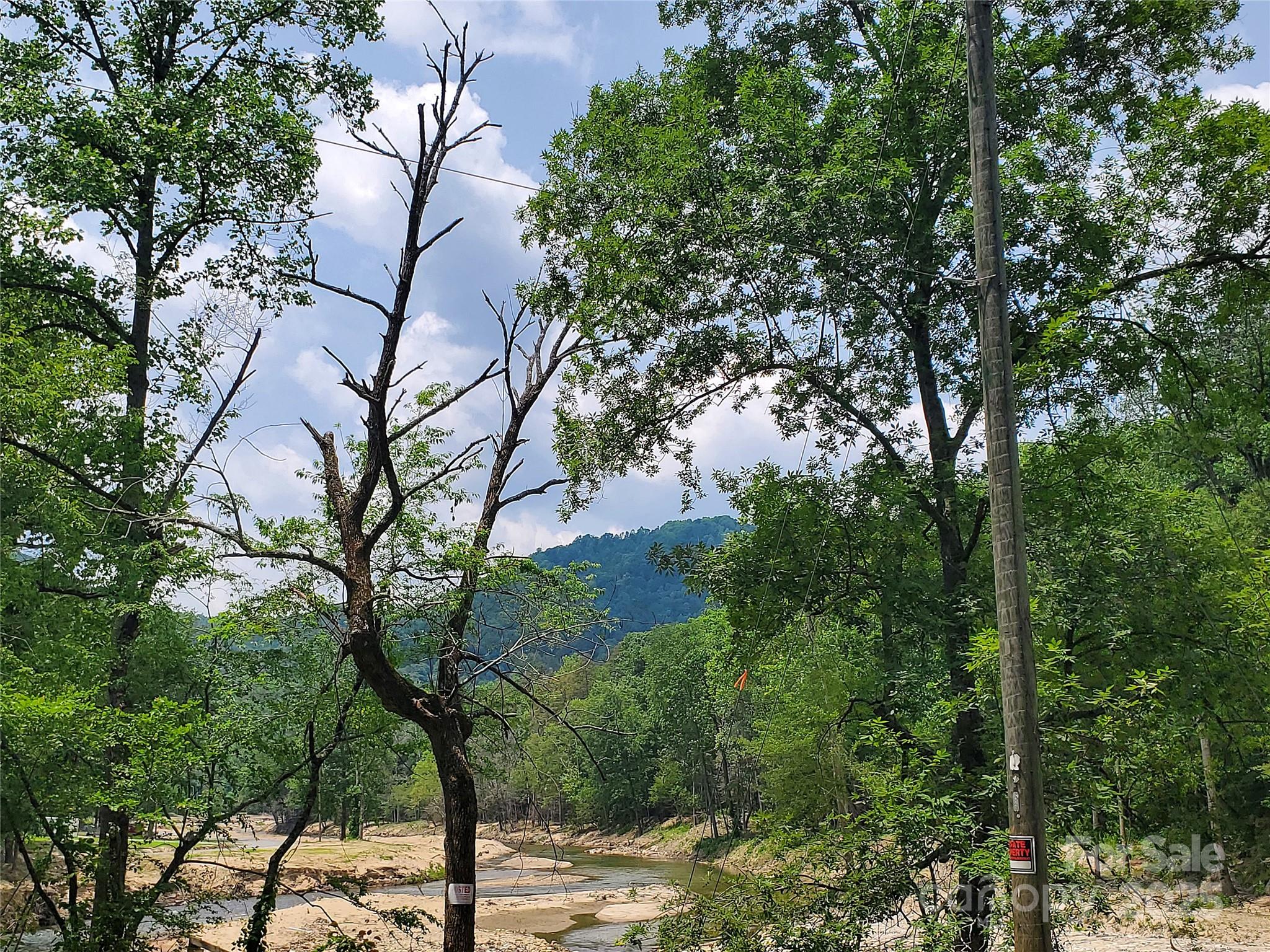 * Green River Cove Road Saluda, NC 28773 - Photo 9 of 31 Gallery Image 9