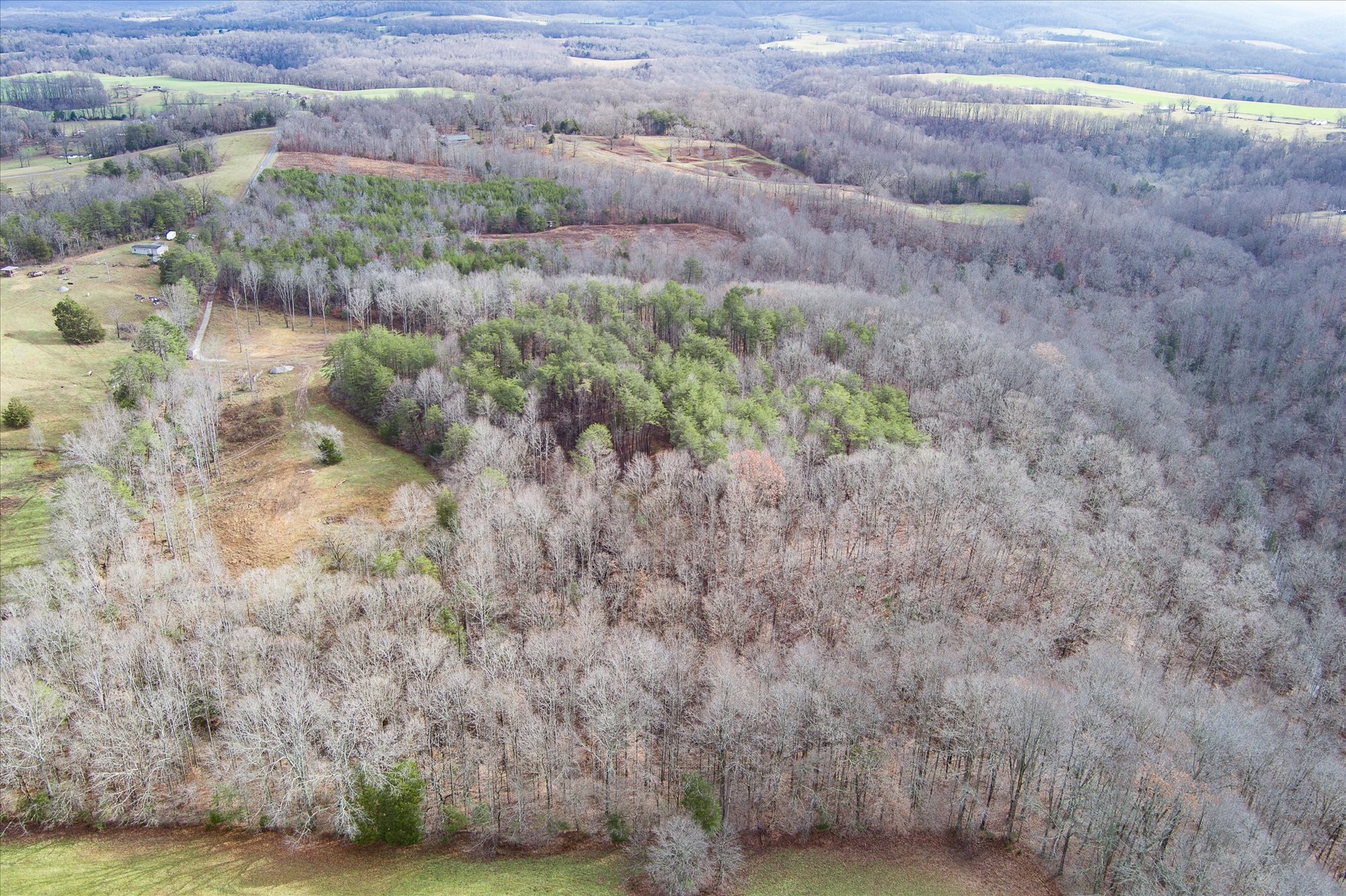 0 Hull Road Monroe, TN 38573 - Photo 2 of 12 a view of a dry yard