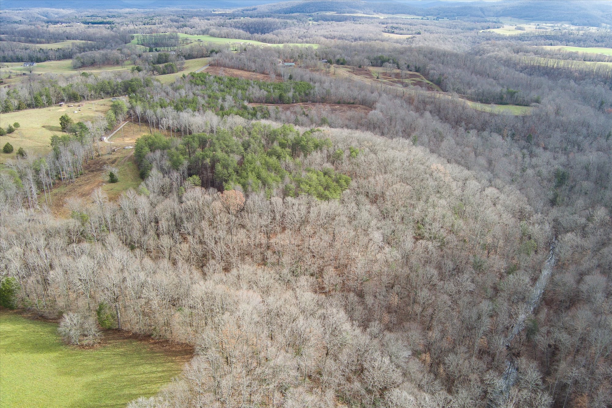 0 Hull Road Monroe, TN 38573 - Photo 3 of 12 a view of a dry yard