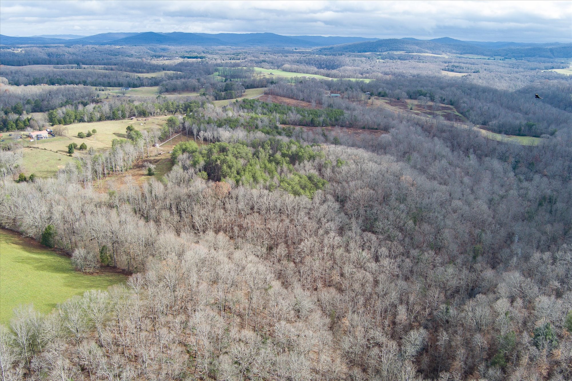 0 Hull Road Monroe, TN 38573 - Photo 4 of 12 a view of a dry yard with trees