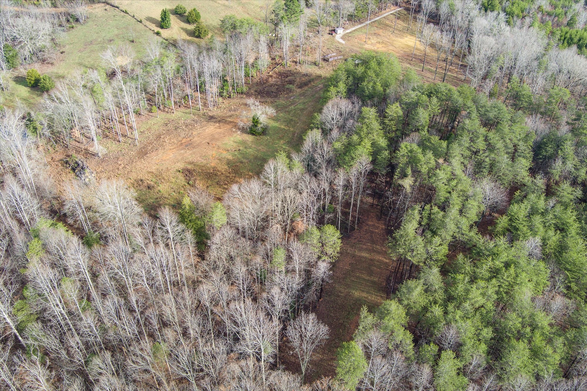 0 Hull Road Monroe, TN 38573 - Photo 7 of 12 a view of a yard with a tree