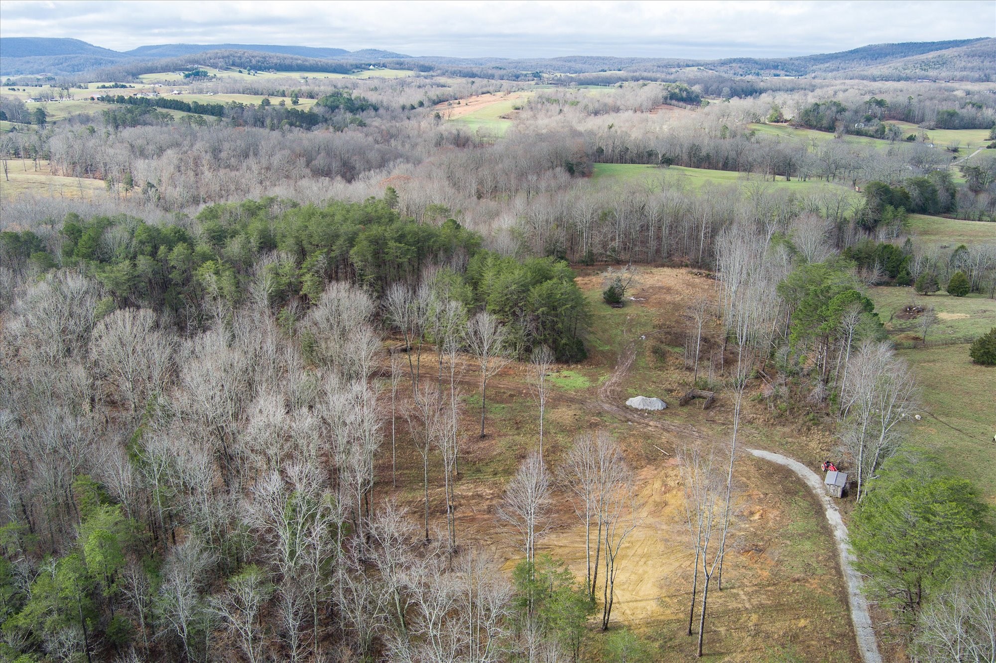 0 Hull Road Monroe, TN 38573 - Photo 9 of 12 a view of a lot of trees and bushes