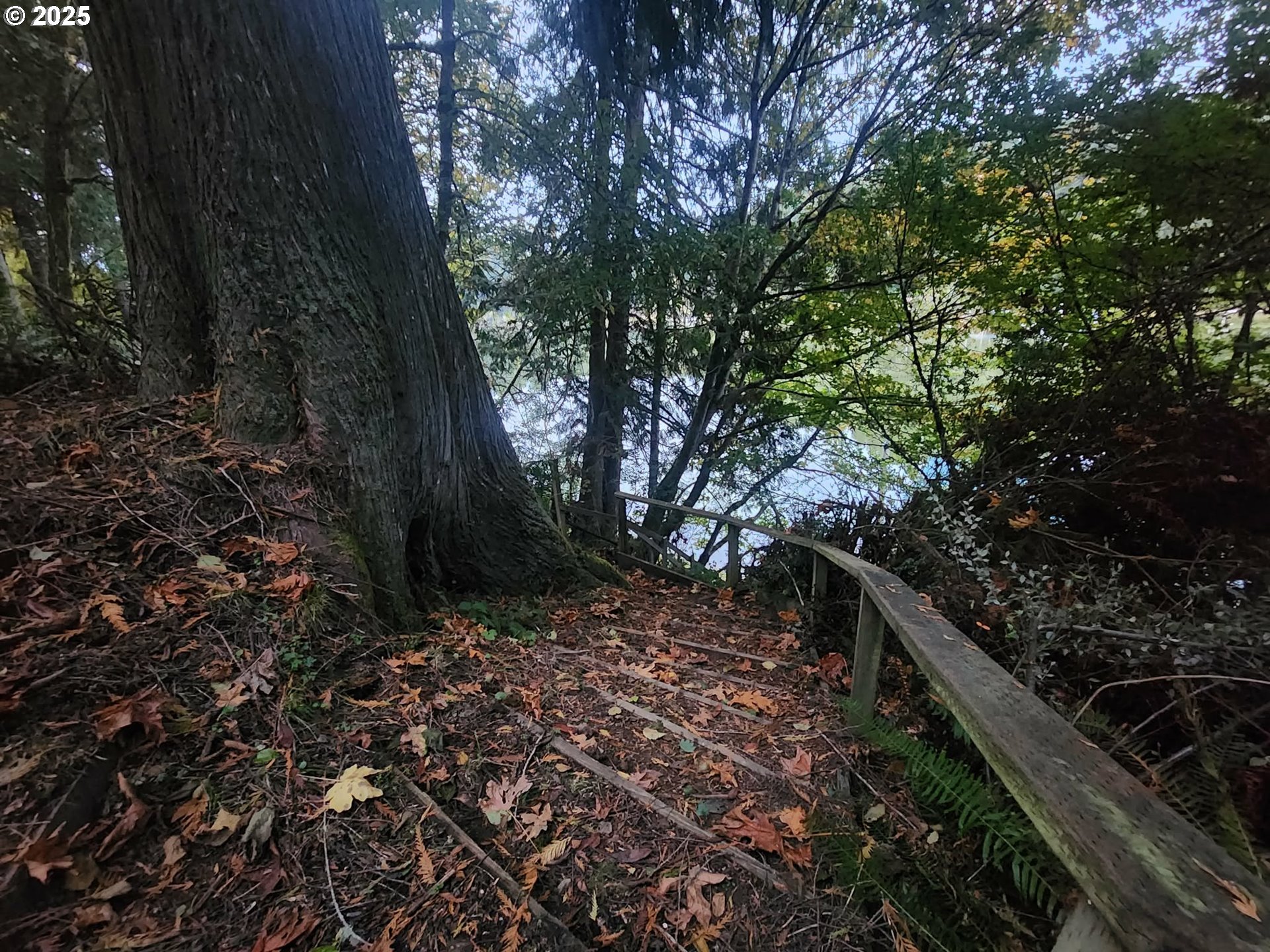 96015 Sun Lake Lane Lakeside, OR 97449 - Photo 20 of 46 a view of a tree with wooden fence