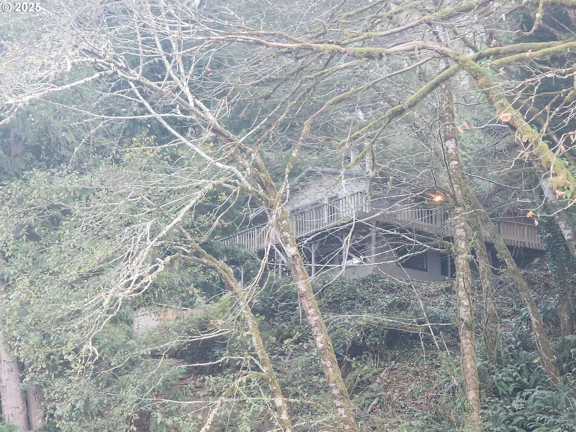96015 Sun Lake Lane Lakeside, OR 97449 - Photo 2 of 46 a view of a yard