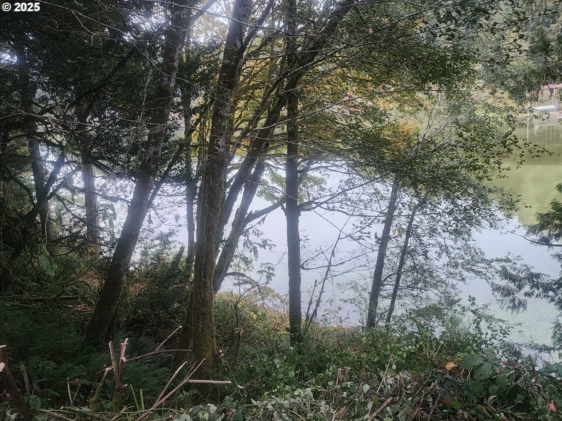 96015 Sun Lake Lane Lakeside, OR 97449 - Photo 22 of 46 a backyard of a house with lots of trees