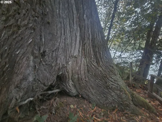 a kitchen with stainless steel appliances a stove a sink and a refrigerator
