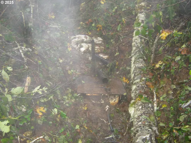 $550,000 | 96015 Sun Lake Lane, Lakeside, OR 97449