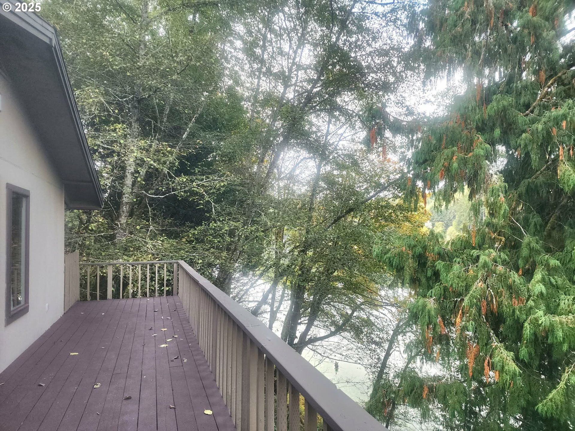 96015 Sun Lake Lane Lakeside, OR 97449 - Photo 9 of 46 a balcony with trees in front of it