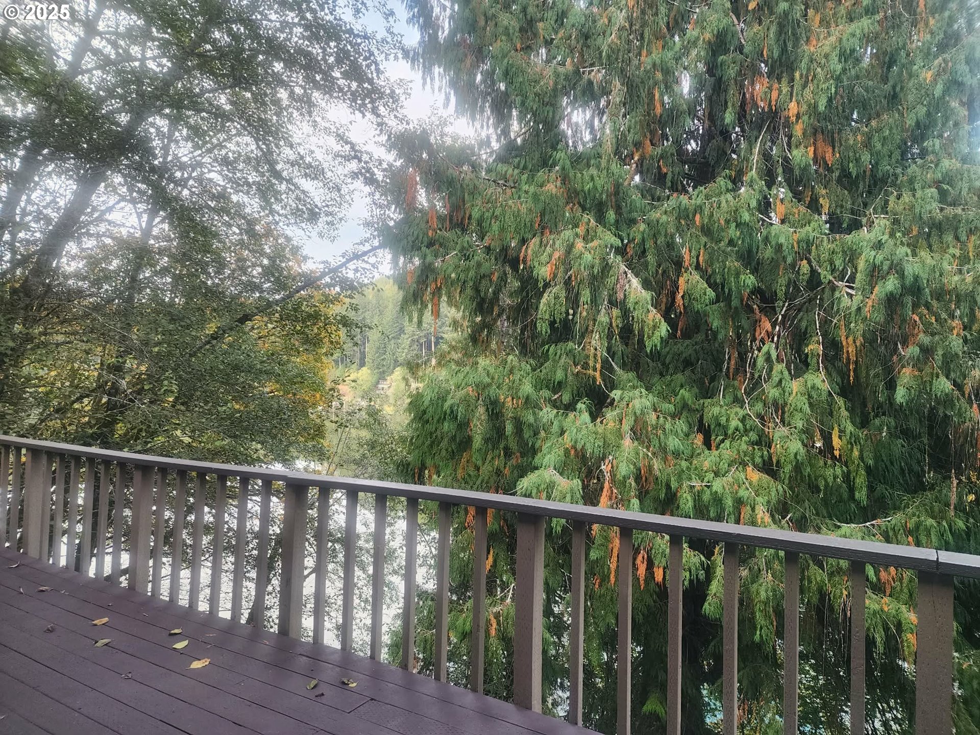 96015 Sun Lake Lane Lakeside, OR 97449 - Photo 10 of 46 a balcony with wooden floor and fence