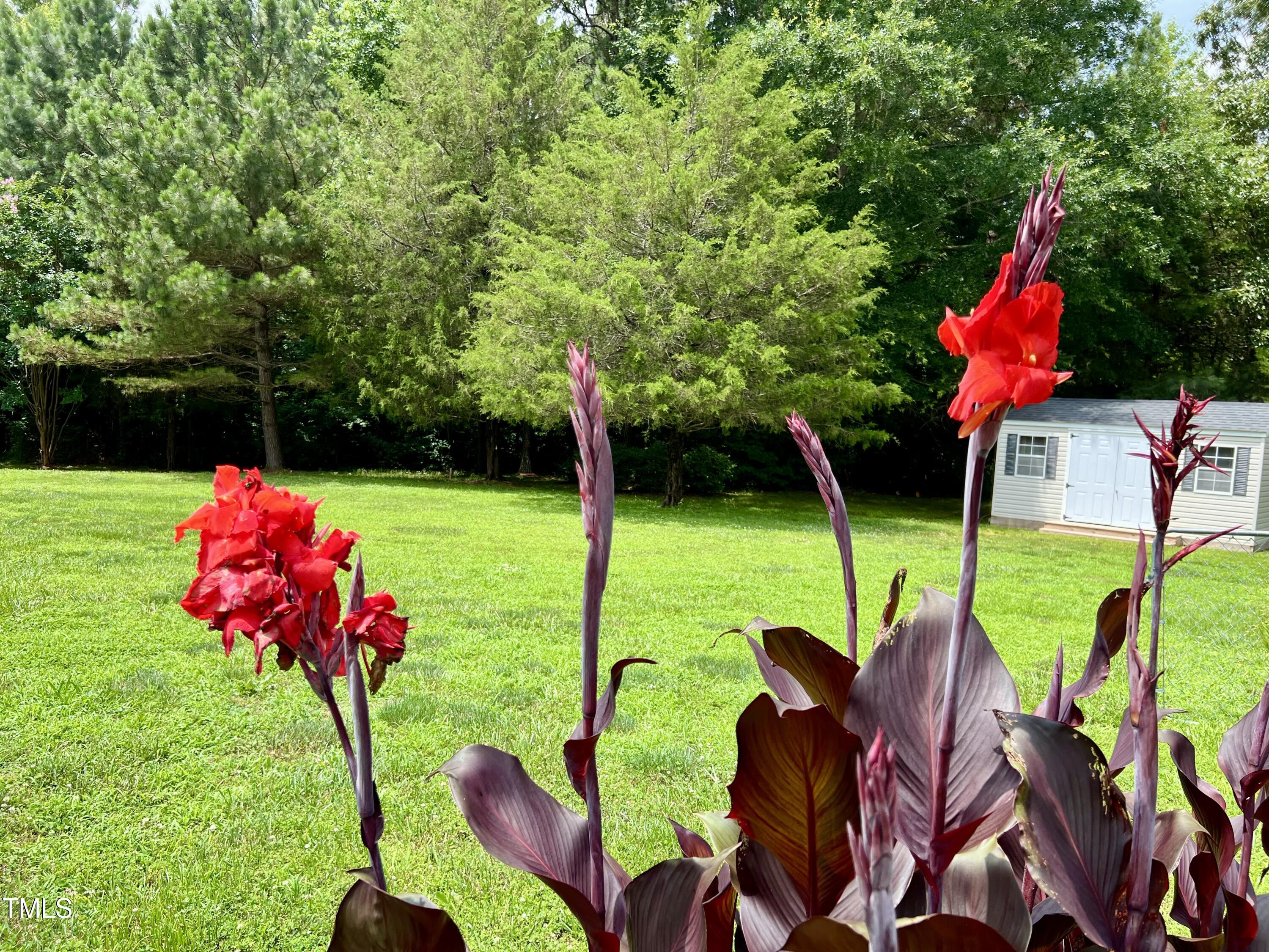 665 Christys Way Roxboro, NC 27574 - Photo 50 of 57 Yard