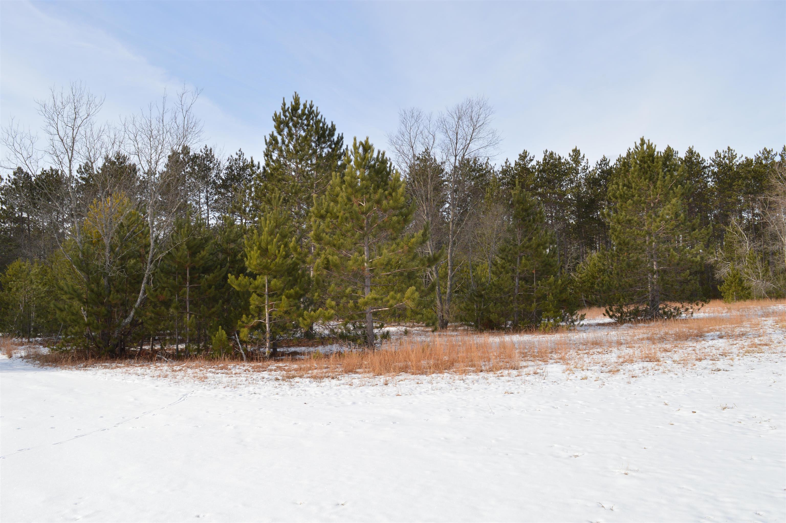 Off Wood Road Northeast Kalkaska, MI 49646 - Photo 6 of 22