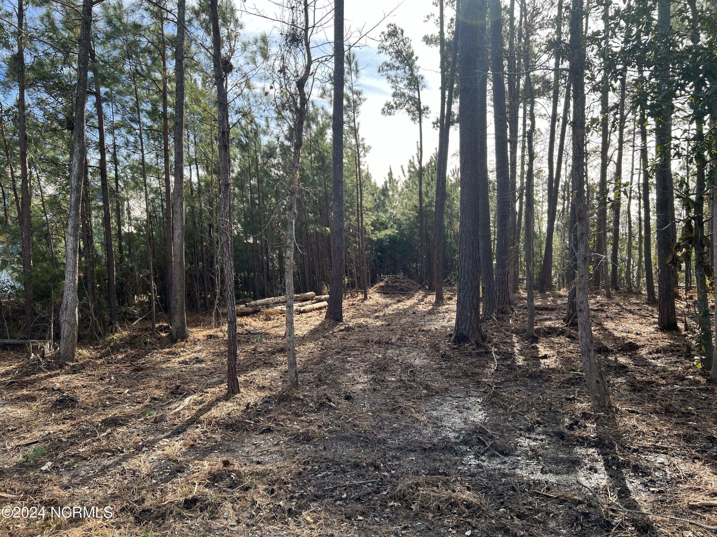 1000 Middle Sound Loop Road Wilmington, NC 28411 - Photo 2 of 2 IMG_4863
