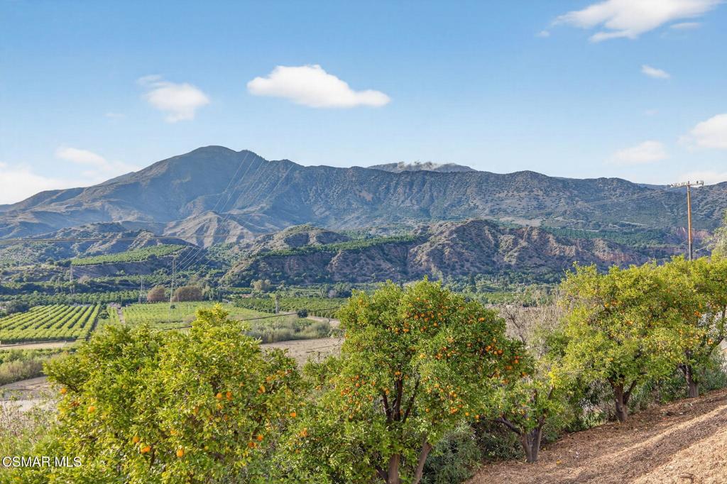 1560 Goodenough Road Fillmore, CA 93015 - Photo 56 of 76