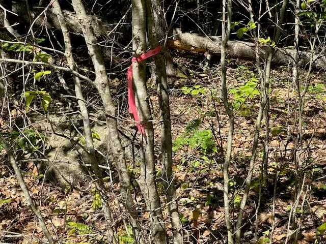 $50,000 | Lot #7 Bonnie Way, Winterport, ME 04496