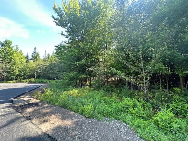 $50,000 | Lot #7 Bonnie Way, Winterport, ME 04496
