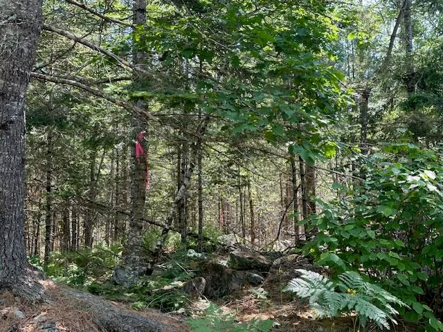 $50,000 | Lot #7 Bonnie Way, Winterport, ME 04496