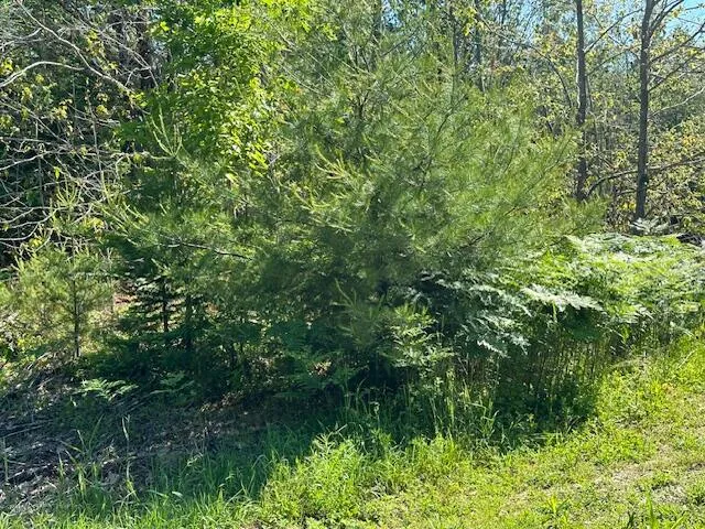 $50,000 | Lot #7 Bonnie Way, Winterport, ME 04496