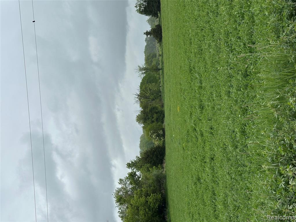 3 Cedar Lake Road Fowlerville, MI 48836 - Photo 2 of 2