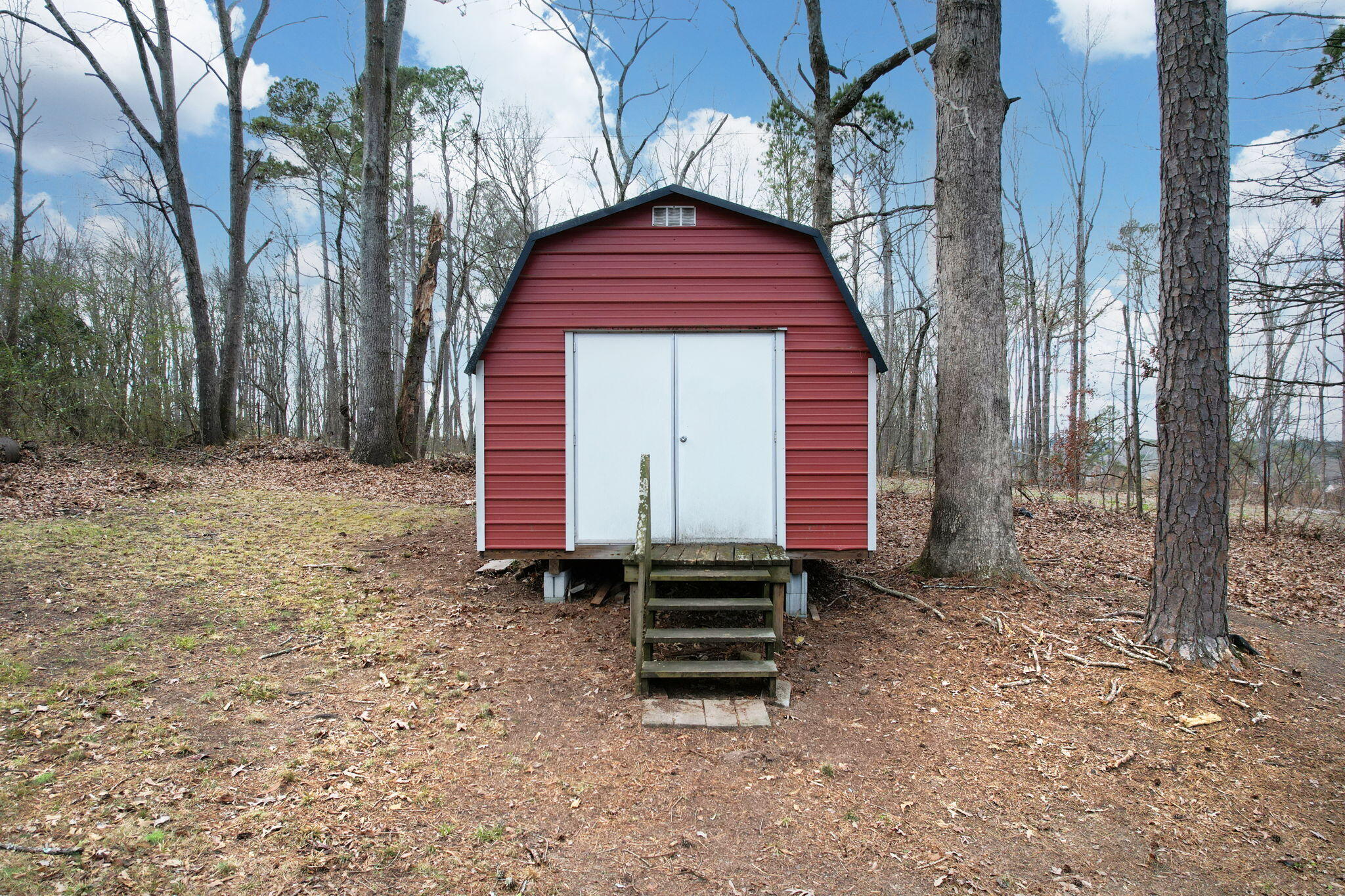 817 Minnis Road Cleveland, TN 37323 - Photo 6 of 28 7-web-or-mls-DJI_0692