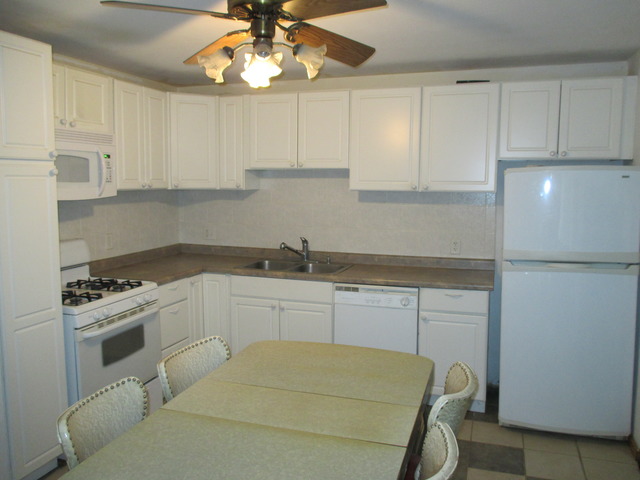 709 Union Avenue Romeoville, IL 60446 - Photo 4 of 9