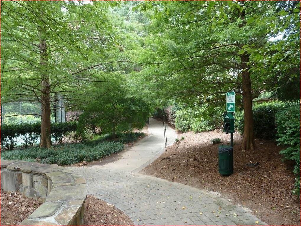 5208 Westchester Ridge Northeast Atlanta, GA 30329 - Photo 30 of 32 a view of a road with plants and trees
