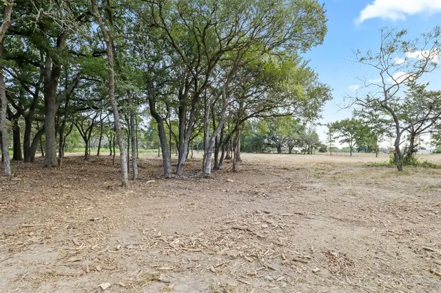 a view of road with trees