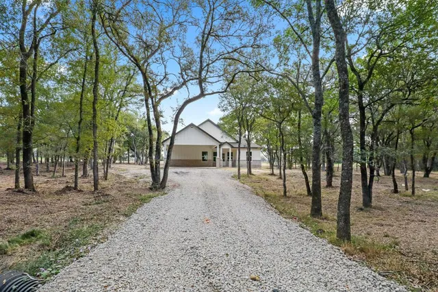 a view of a park with large trees
