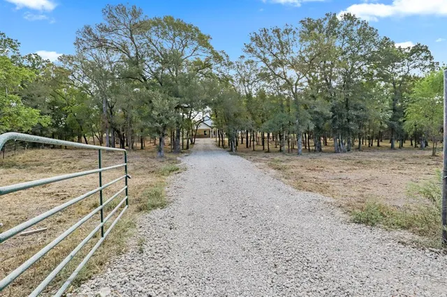 a view of a forest filled with trees