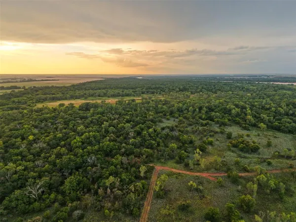 a view of a city with lush green forest