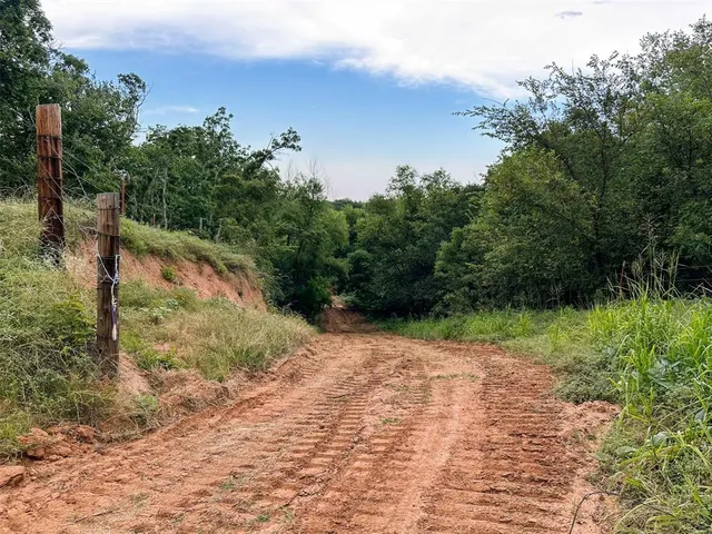 a view of backyard with green space