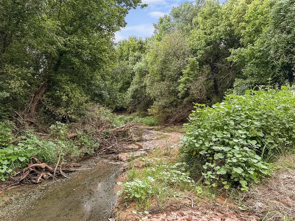 a view of a forest with trees