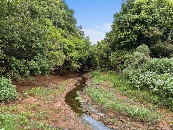 a view of a yard with plants and a large tree