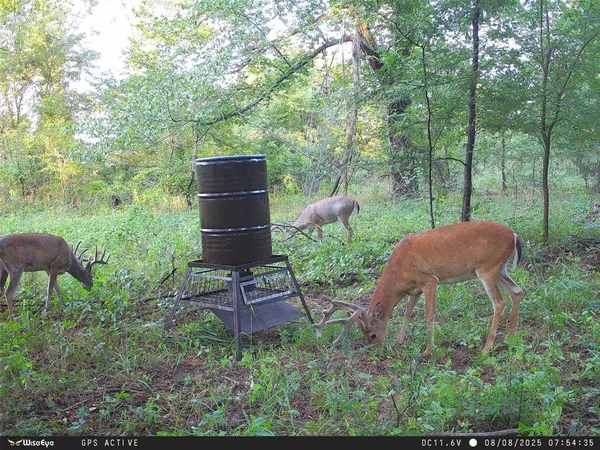 a view of a chairs and table in a garden