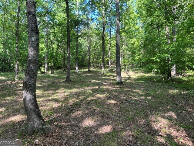 3640 Bullock Bridge Road Loganville, GA 30052 - Photo 26 of 54 Gallery Image 26