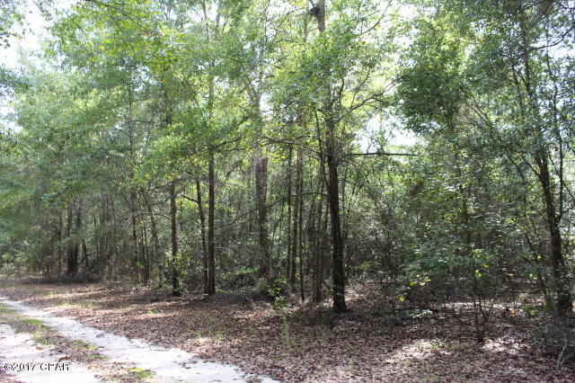 6293 Wolf Pond Road Bascom, FL 32423 - Photo 10 of 12