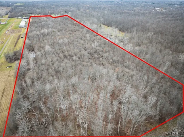 $330,000 | 8095 Transit Road, Clarence, NY 14051